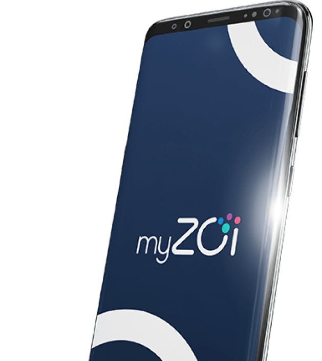 send money through MyZoi