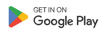 Google pay Icon